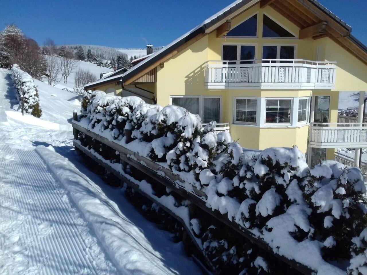 "Schwarzwaldblick" Ferienwohnung 2-4 Pers 65Qm, Schoene Ruhige Suedhanglage Mit Herrl Aussicht Todtnau Exteriör bild