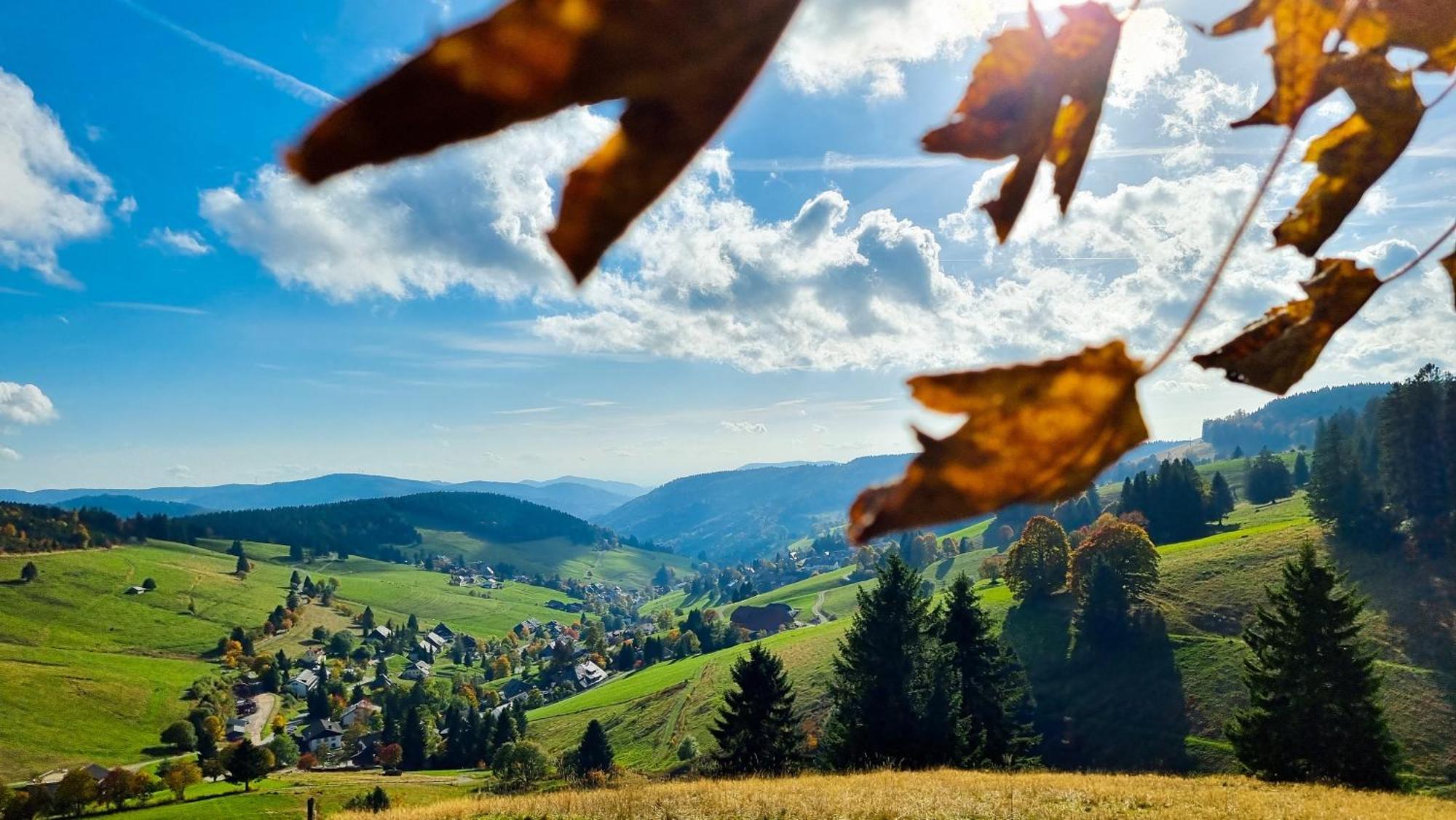 "Schwarzwaldblick" Ferienwohnung 2-4 Pers 65Qm, Schoene Ruhige Suedhanglage Mit Herrl Aussicht Todtnau Exteriör bild