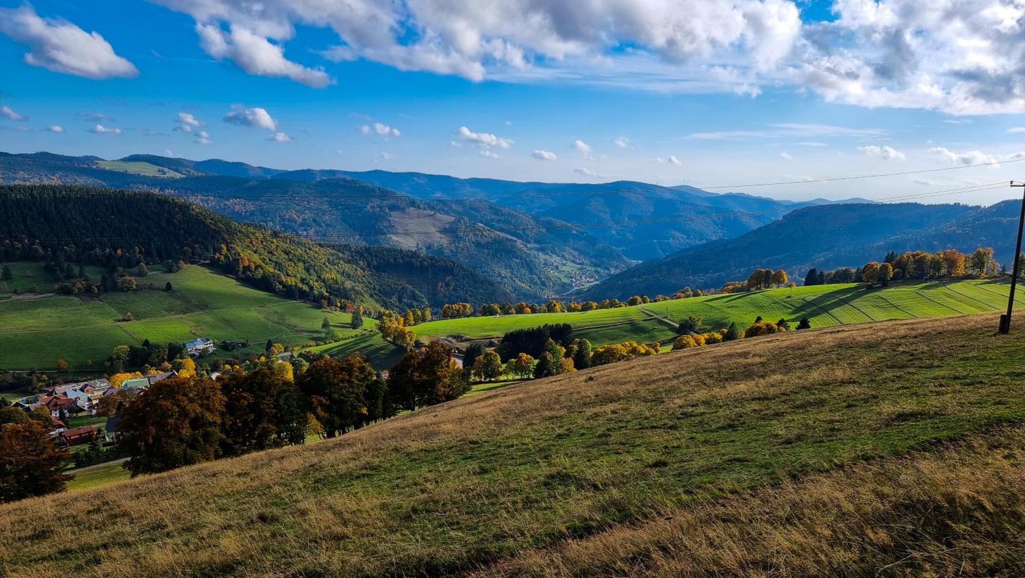 "Schwarzwaldblick" Ferienwohnung 2-4 Pers 65Qm, Schoene Ruhige Suedhanglage Mit Herrl Aussicht Todtnau Exteriör bild